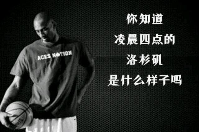 严格按官方